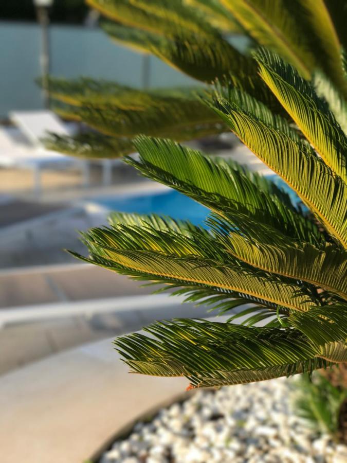 Апарт отель Path House - Etna & Sea View Рипосто Экстерьер фото